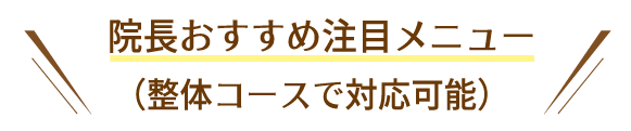 院長おすすめ注目メニュー(整体コースで対応可能)